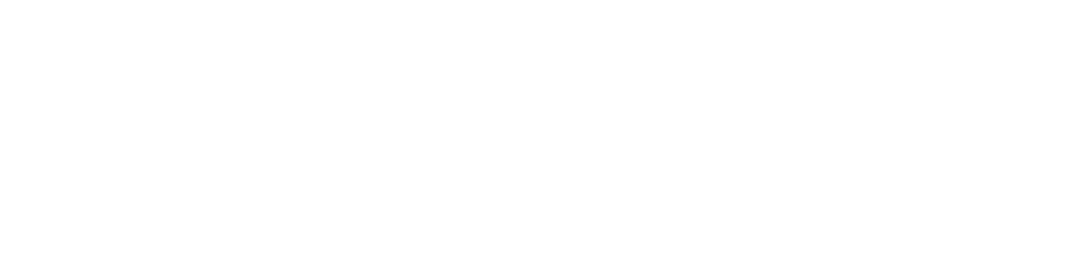 AVN Texperts